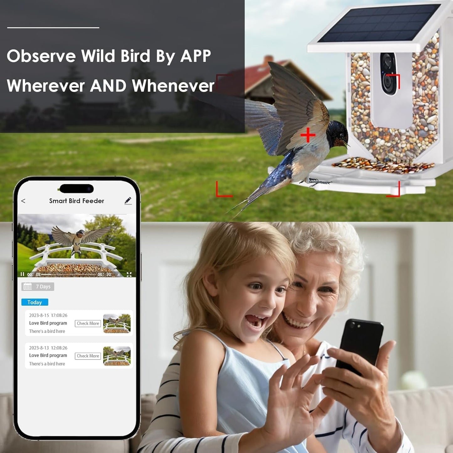 AIMOEST Smart Feeder with Camera, Outdoor Feeding House 2.5L Waterproof, Solar-Powered, HD Watching Cam with AI Identity, Instant Arrival Alert, Squirrel Proof