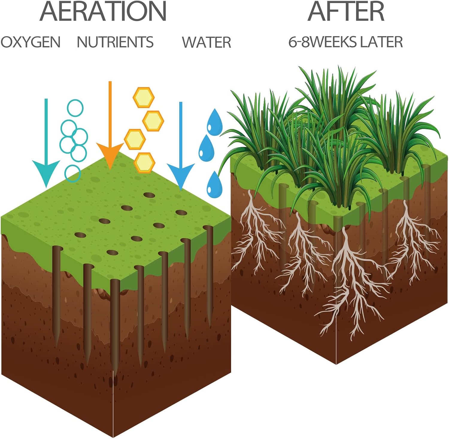 Walensee Lawn Aerator Spike Metal Manual Dethatching Soil Aerating Law