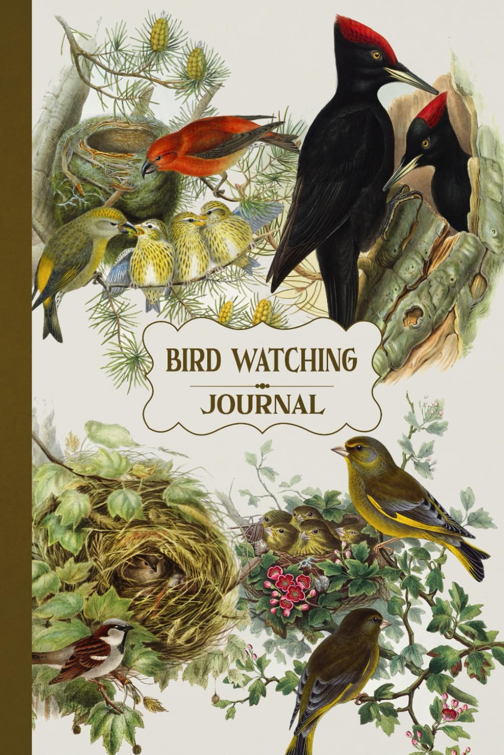 Bird Watching Journal: Field Notebook to Record and Track Bird Sightings | Great Gift for Nature Lovers and Ornithology Enthusiasts