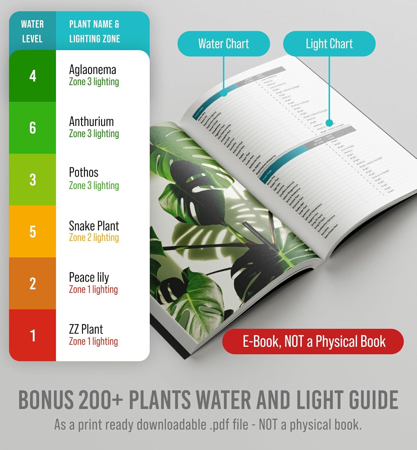 GROWIT Plant Moisture Meter - Accurately Tells You When to Water Your 