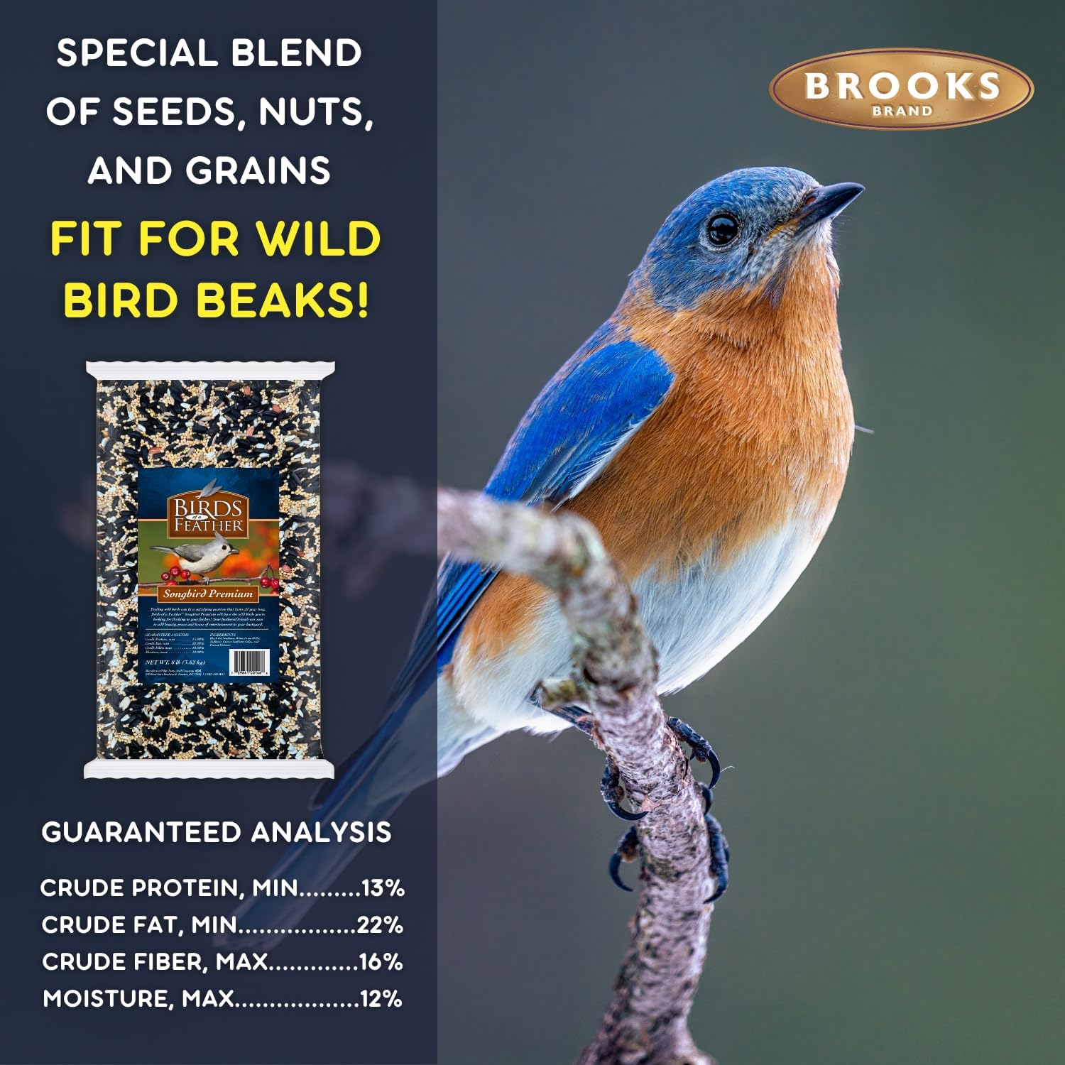 Birds of a Feather Songbird Premium, Songbird Bird Seed, Song-Bird See