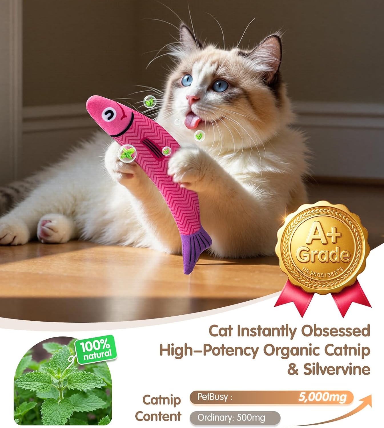 PetBusy Cat Toys with[5000mg A+Natural Catnip &Silvervine] [Baby Grade