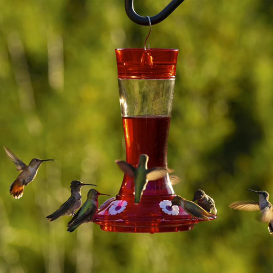 More Birds Bird Health+ Garnet Hummingbird Feeder, Glass Hummingbird Feeders for Outdoors, 5 Feeding Stations, 20 Ounces (Pack of 4)