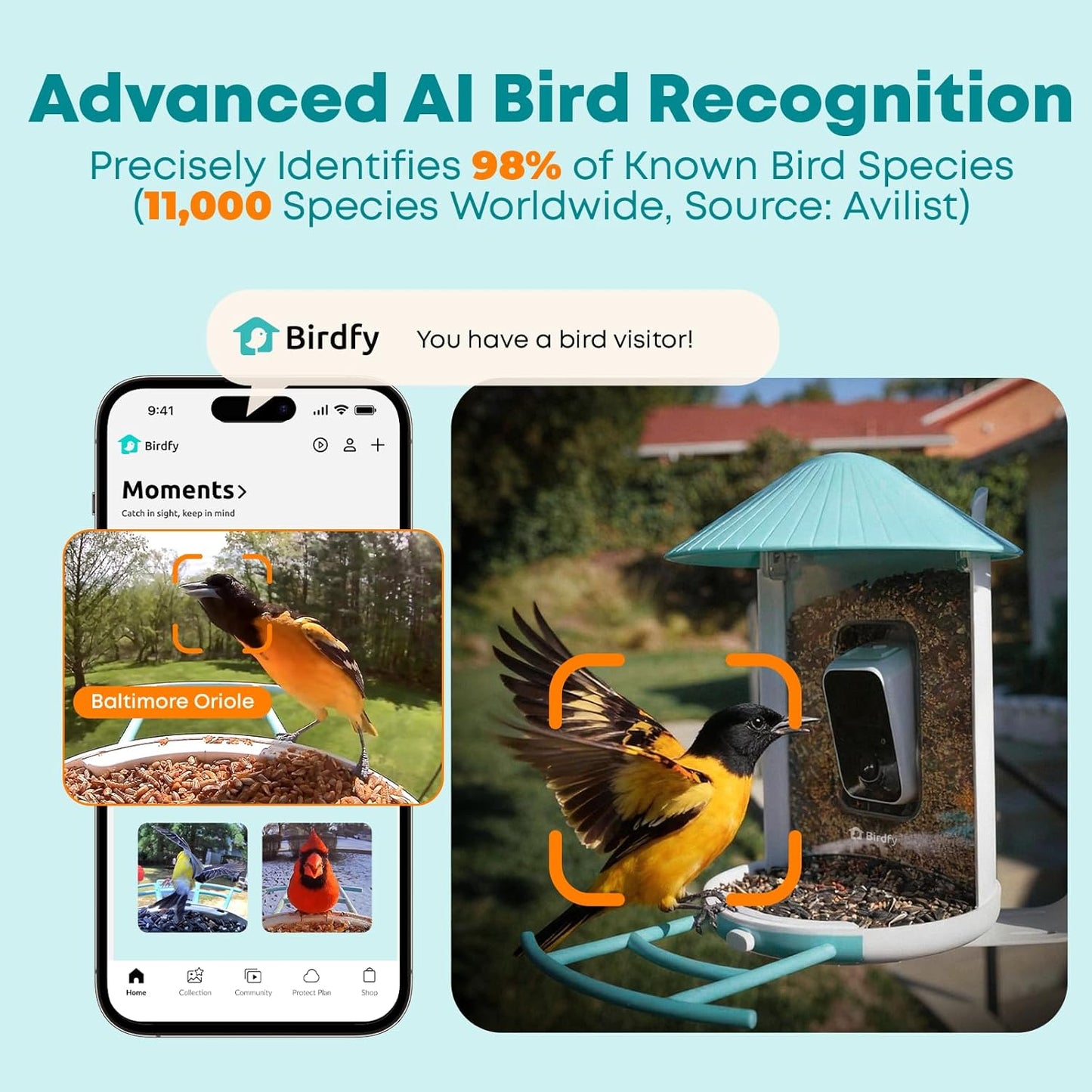 NETVUE by Birdfy Smart Bird Feeder with 2K HD AI Camera Solar Powered, Wireless Wildbird Watching, Live Stream&Color Night Vision, Auto-Capture & Notify, Free Cloud Storage(AI by Subscription)