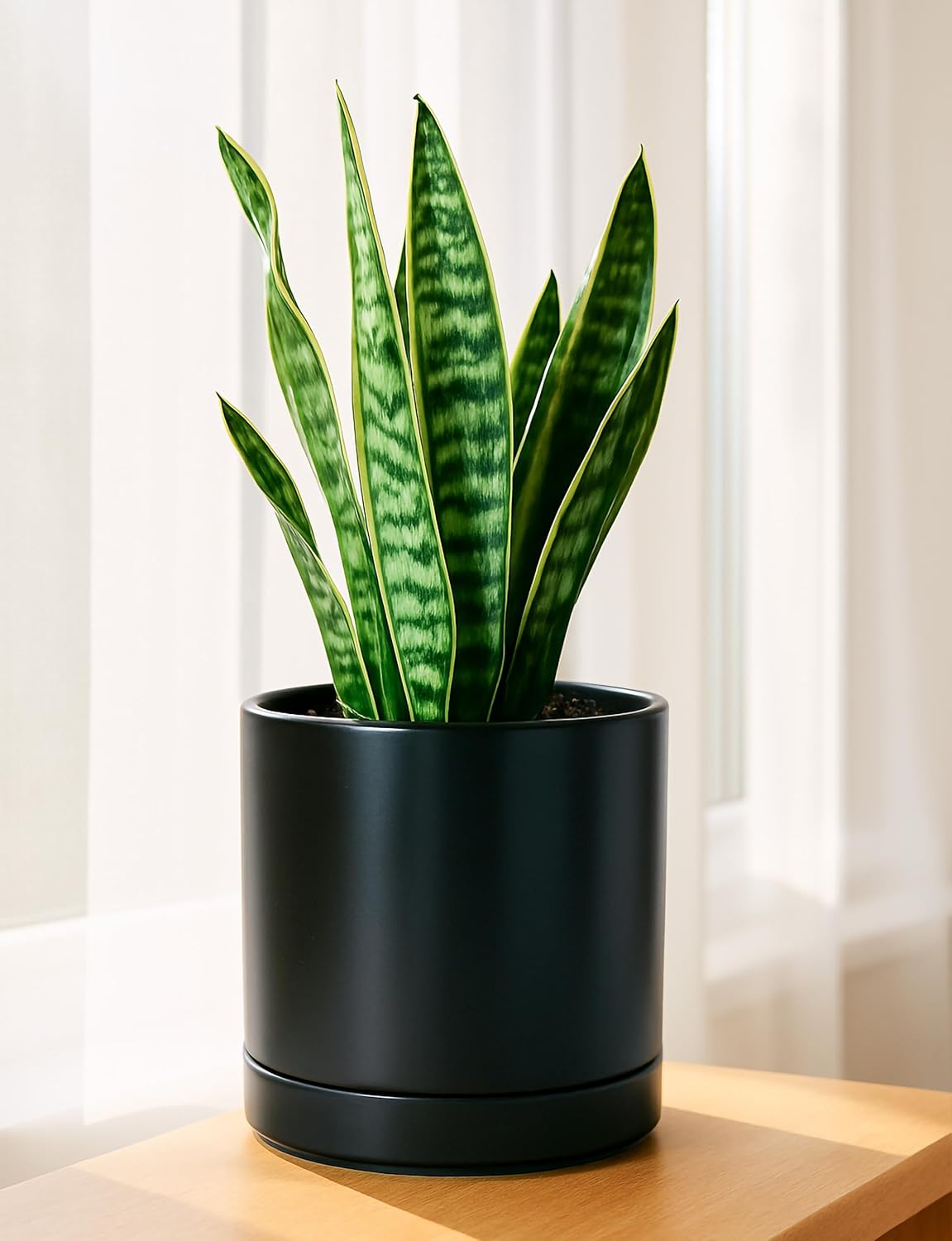 D'vine Dev 8.2 Inch Ceramic Planter Pot with Drainage Hole and Saucer,