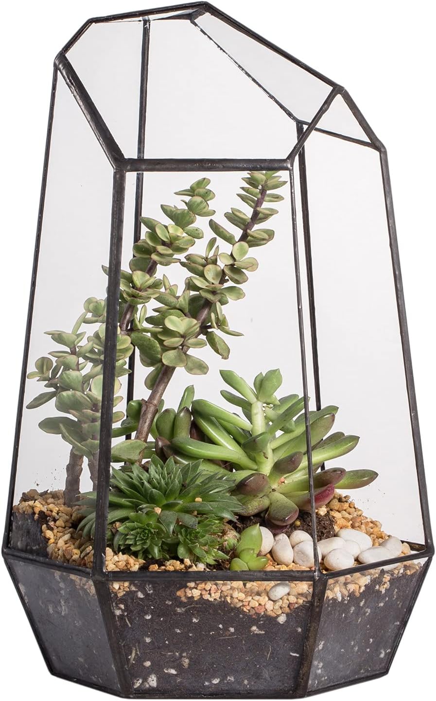 NCYP No Door Geometric Glass Terrarium Planter for Small Succulent, Small Cacti, Black Irregular Opened Terrarium Pot, Indoor Home Garden Office Tabletop Decor, 6.5" x 5.7" x 9.8" (No Plants)