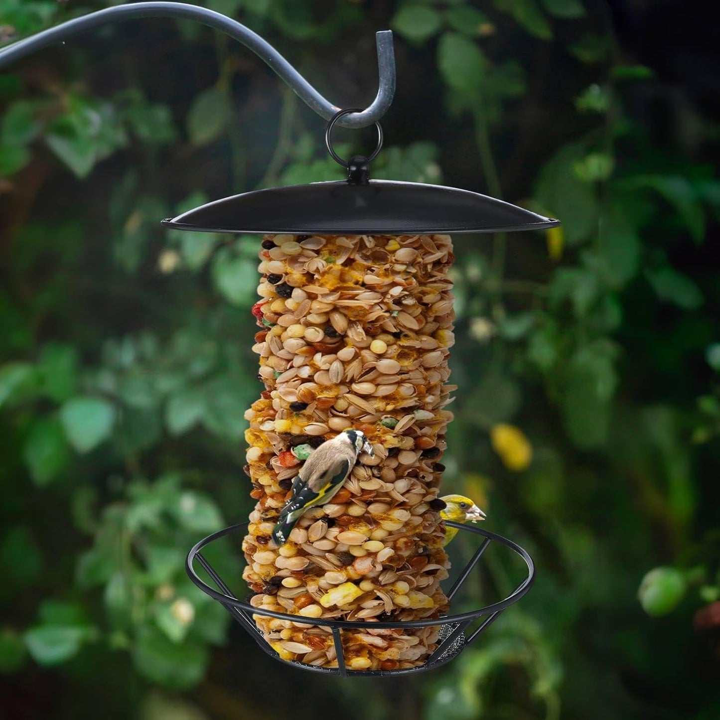1 Pack Cylinder Bird Feeder Outdoor S-6-2 Seed Cake Feeder Metal Suet Cake Holder Backyard Wild Birdfeeding Bird Feeders for Outdoors Garden