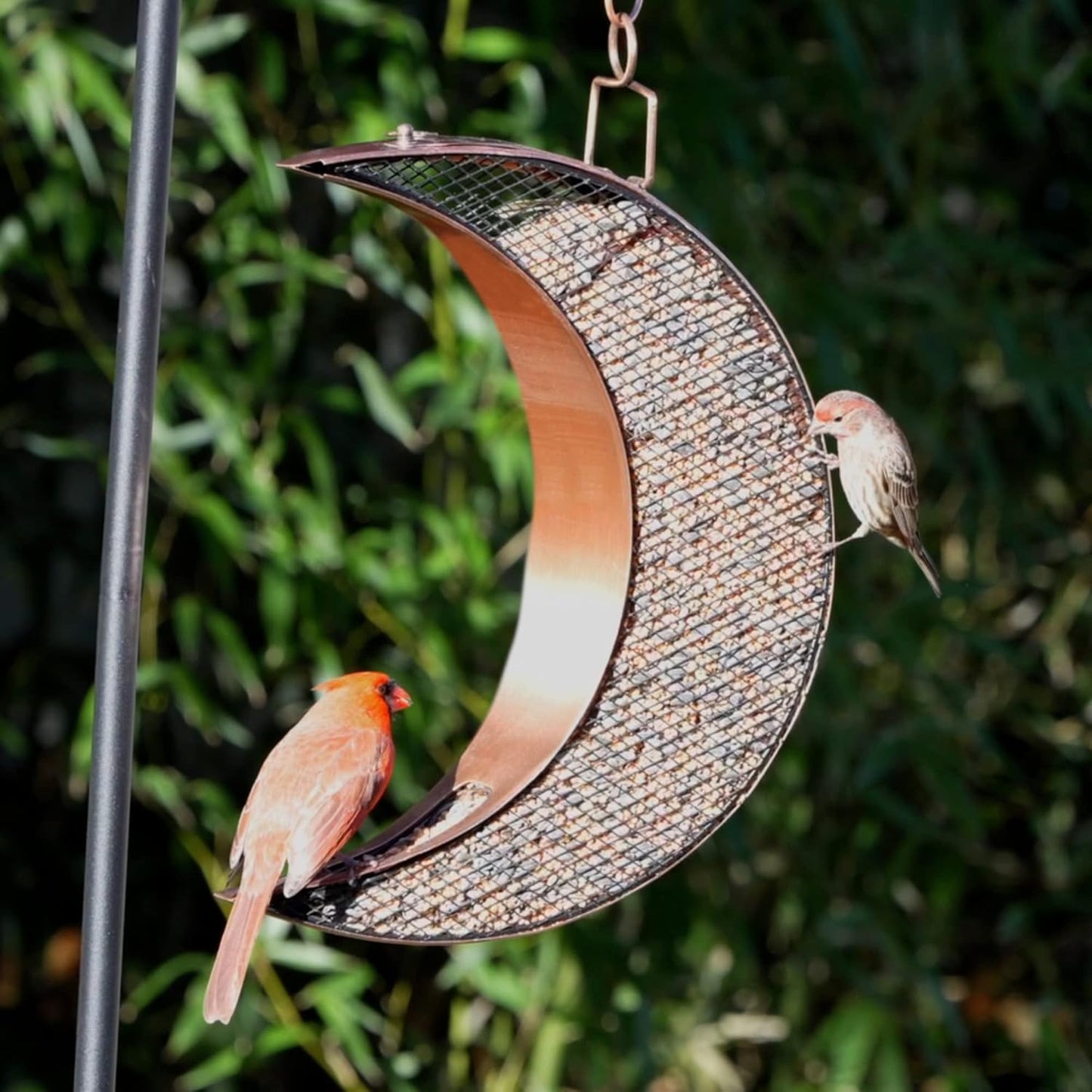 Good Directions Copper Finish Moon Bird Feeder with Mesh