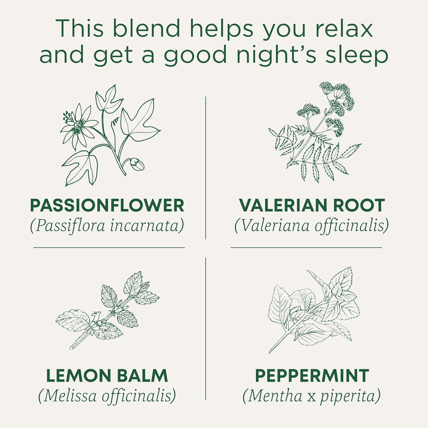 Traditional Medicinals Organic Nighty Night Extra Tea With Valerian Ro