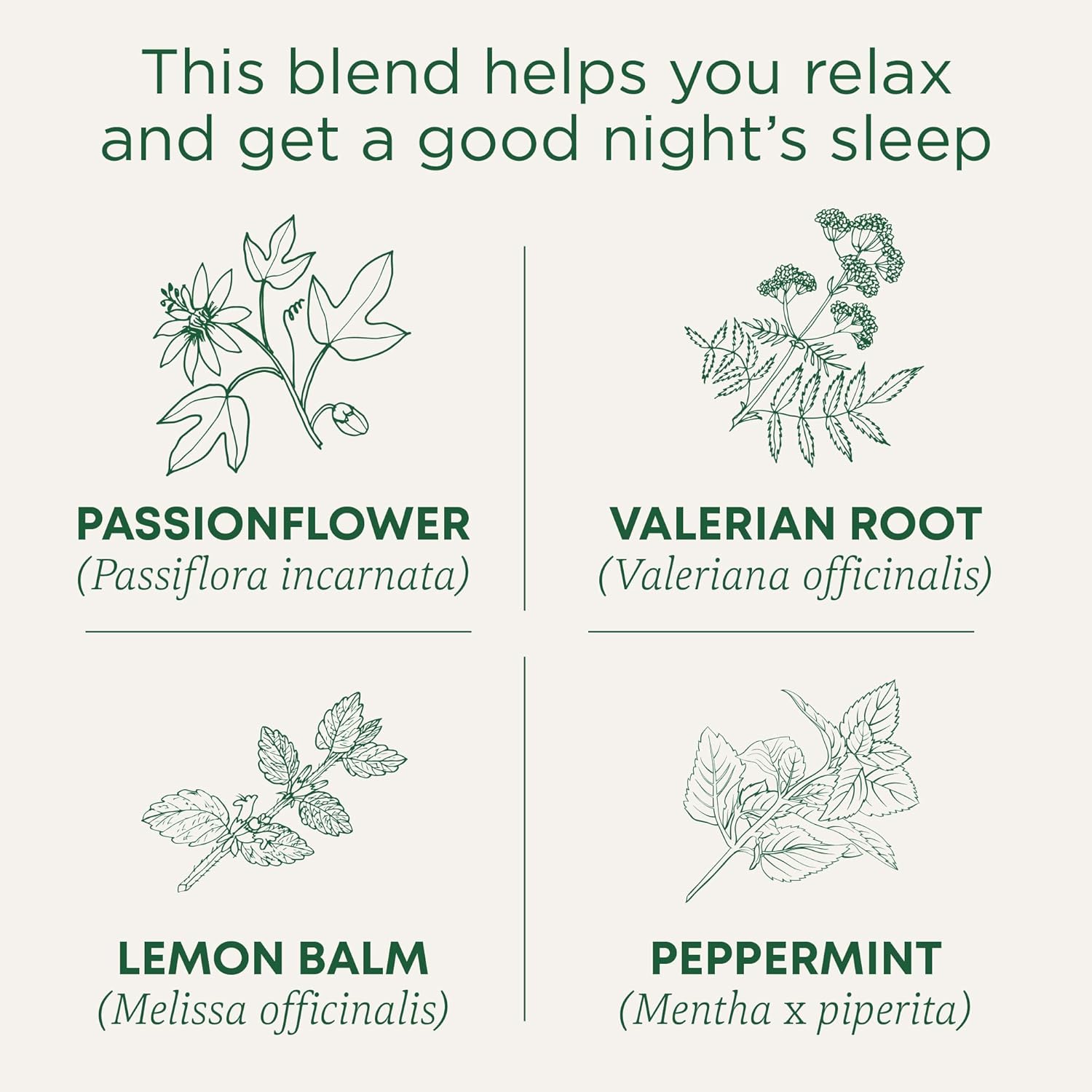 Traditional Medicinals Organic Nighty Night Extra Tea With Valerian Ro