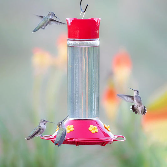 Perky-Pet 209B-1SR Our Best Glass Hummingbird Feeder with Perches, Built-in Ant Moat and Bee Guards - 30 oz+Perky-Pet 522 Ready-to-Use Clear Hummingbird Nectar in 4 Cans,16 oz Recyclable Aluminum Can