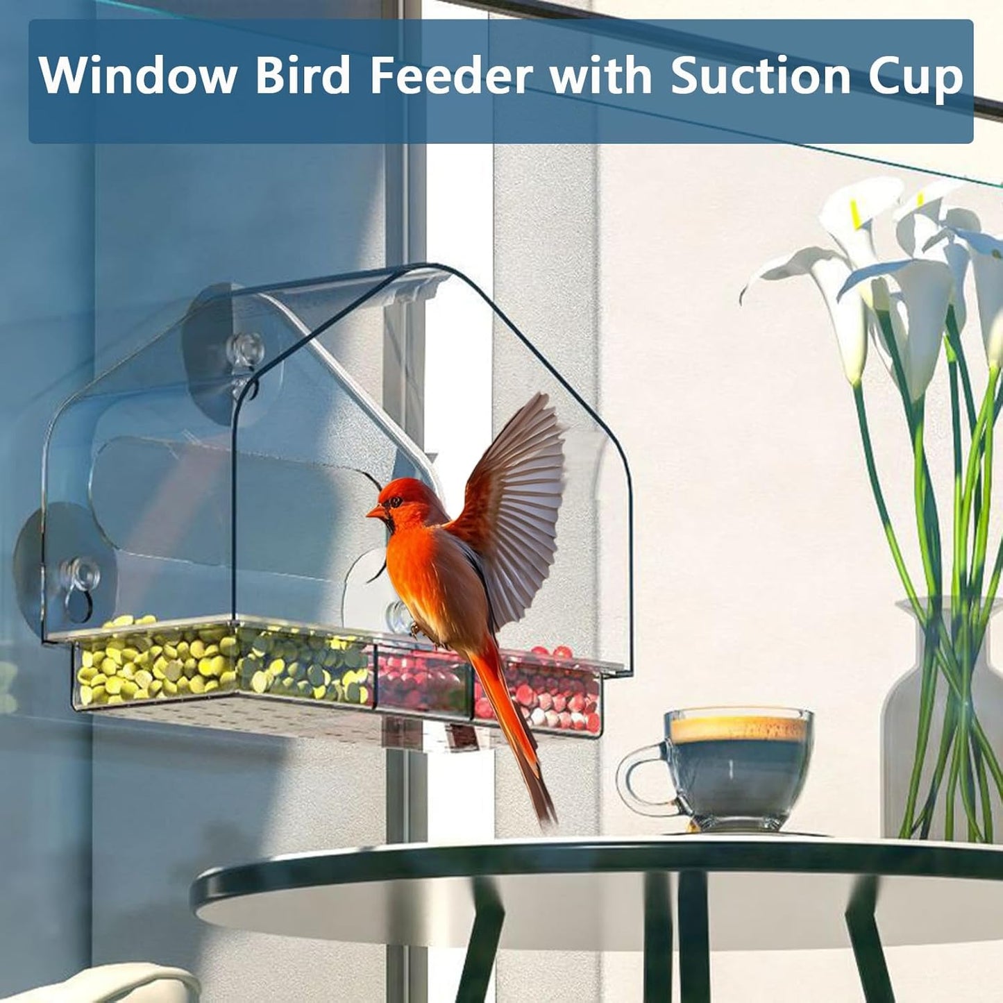 Window Bird Feeder Viewing Box - 10x7 Inches Acrylic Window Bird Feeder with 4 Strong Suction Cups, 3 Compartment Trays, Clear Birdfeeder with Enhanced Grip, Watching Cardinal for Cat
