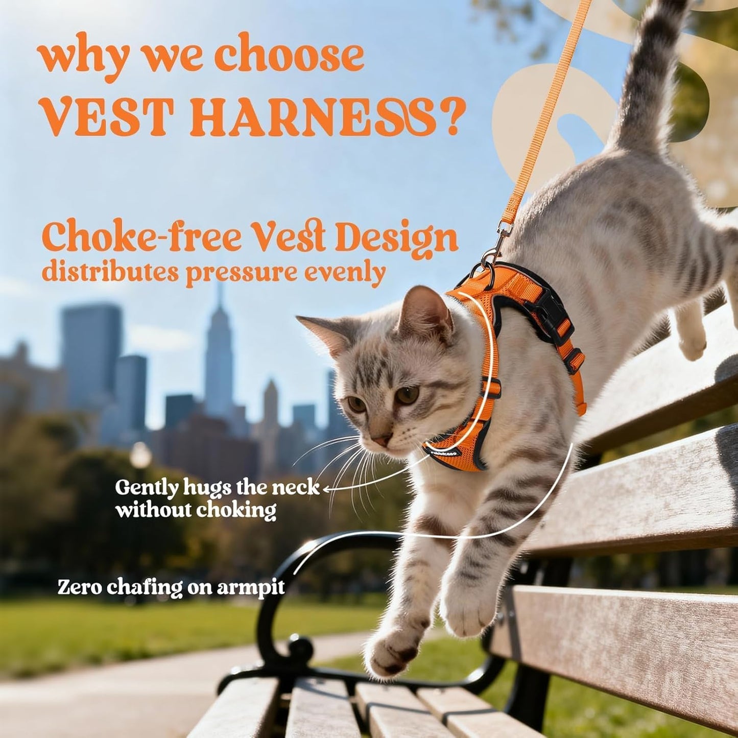 rabbitgoo Cat Harness and Leash for Walking, Escape Proof Soft Adjusta