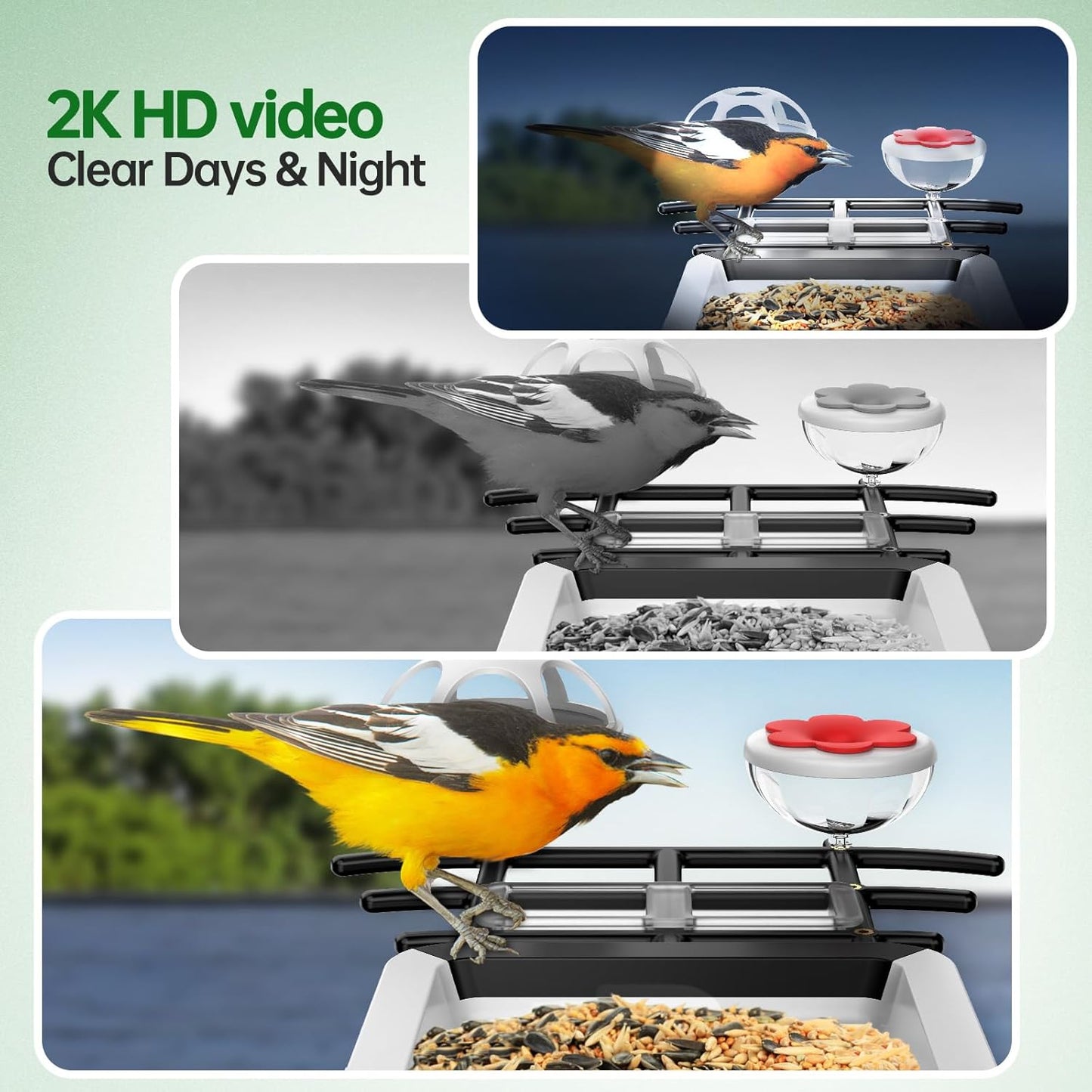 Smart Bird Feeder with Camera - Solar Powered Bird Watching Camera with 2K HD Live View, Auto Capture & AI Identify 10,000+ Species, 2.4G WiFi Outdoor Birdhouse, Ideal Gifts for Bird Lovers