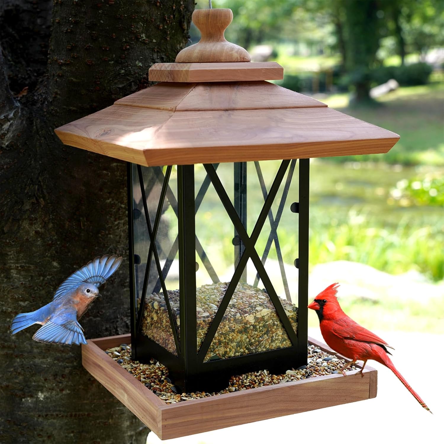Cedar & Metal Frame Bird Feeder for Outdoors Hanging Mount Large Capac