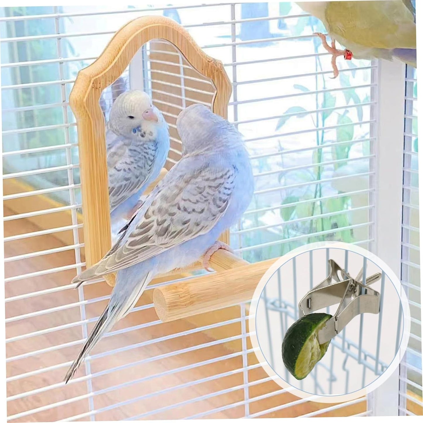 5Pcs Bird Food Holder Cage Mount Fruit Bird Feeder Stainless Steel Feeder Clip Style Silver for Parakeet Budgie Macaw Cage Accessories