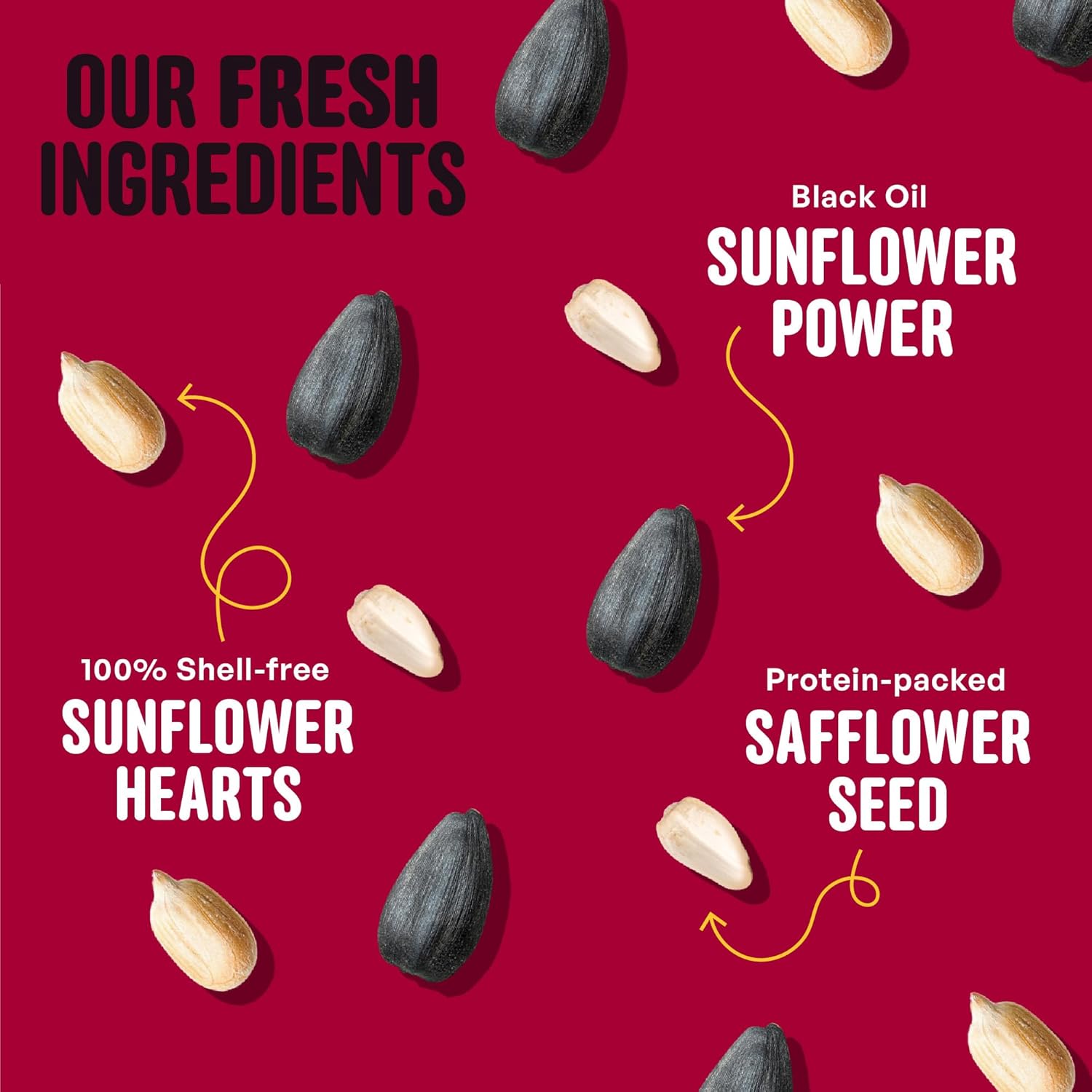 Cardinal & Crew Wild Bird Seed – 10 lb. Black Oil Sunflower, Sunflower