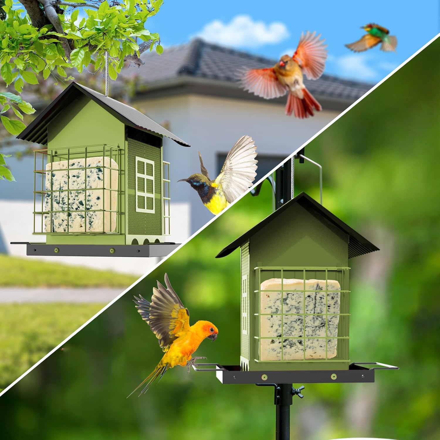 Bird Feeders for Outdoors Hanging, Metal Bird Feeder with Double Suet 