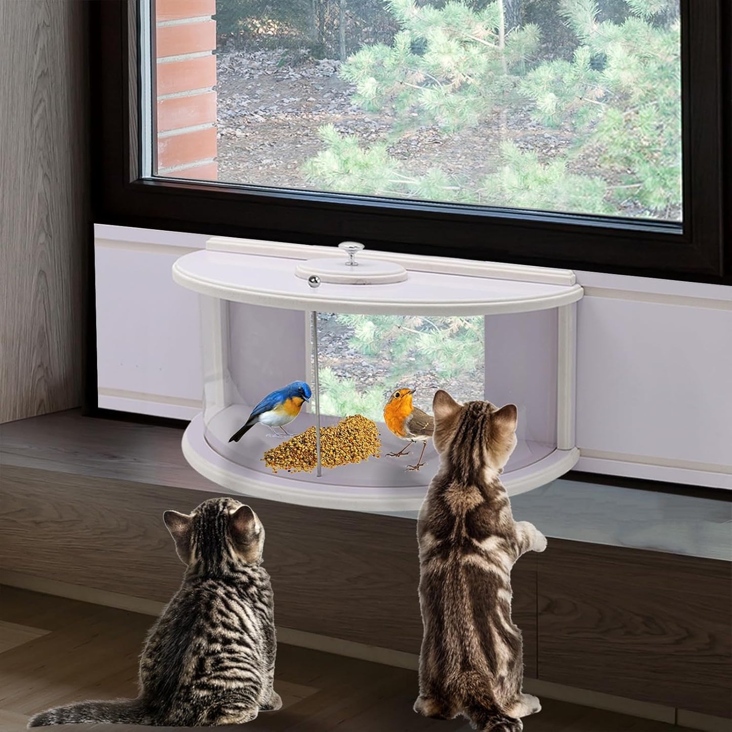 Window Bird Feeders for Viewing Durable in Window Bird Feeder in Windo