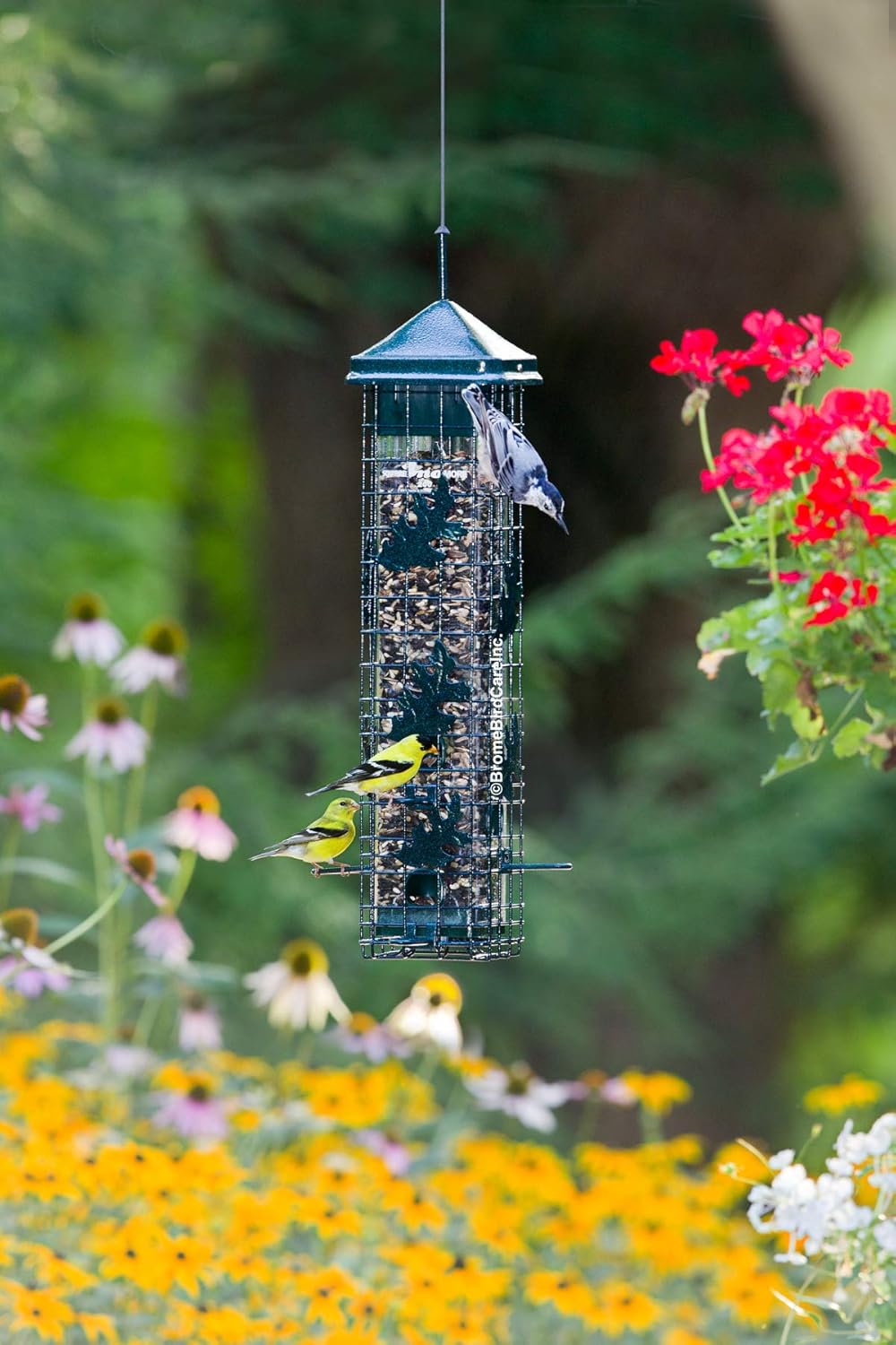 Squirrel Solution200 Squirrel-Proof Bird Feeder w/6 Feeding Ports, 3.4-Pound Seed Capacity & Squirrel Buster Standard Squirrel-Proof Bird Feeder w/4 Metal Perches, 1.3-Pound Seed Capacity