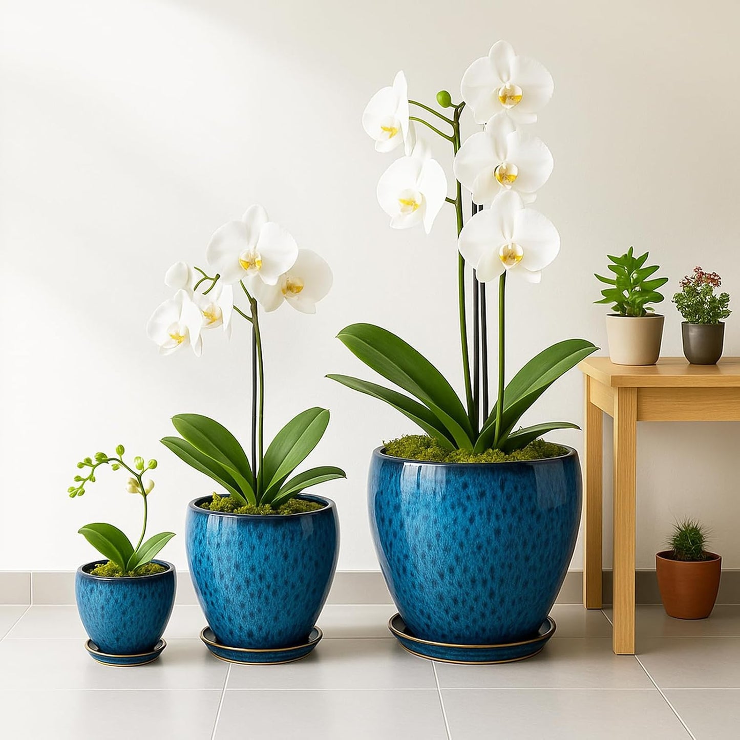 Deep Dream 6 Inch Plant Pots- Ceramic Planter Pot with Drainage Hole a