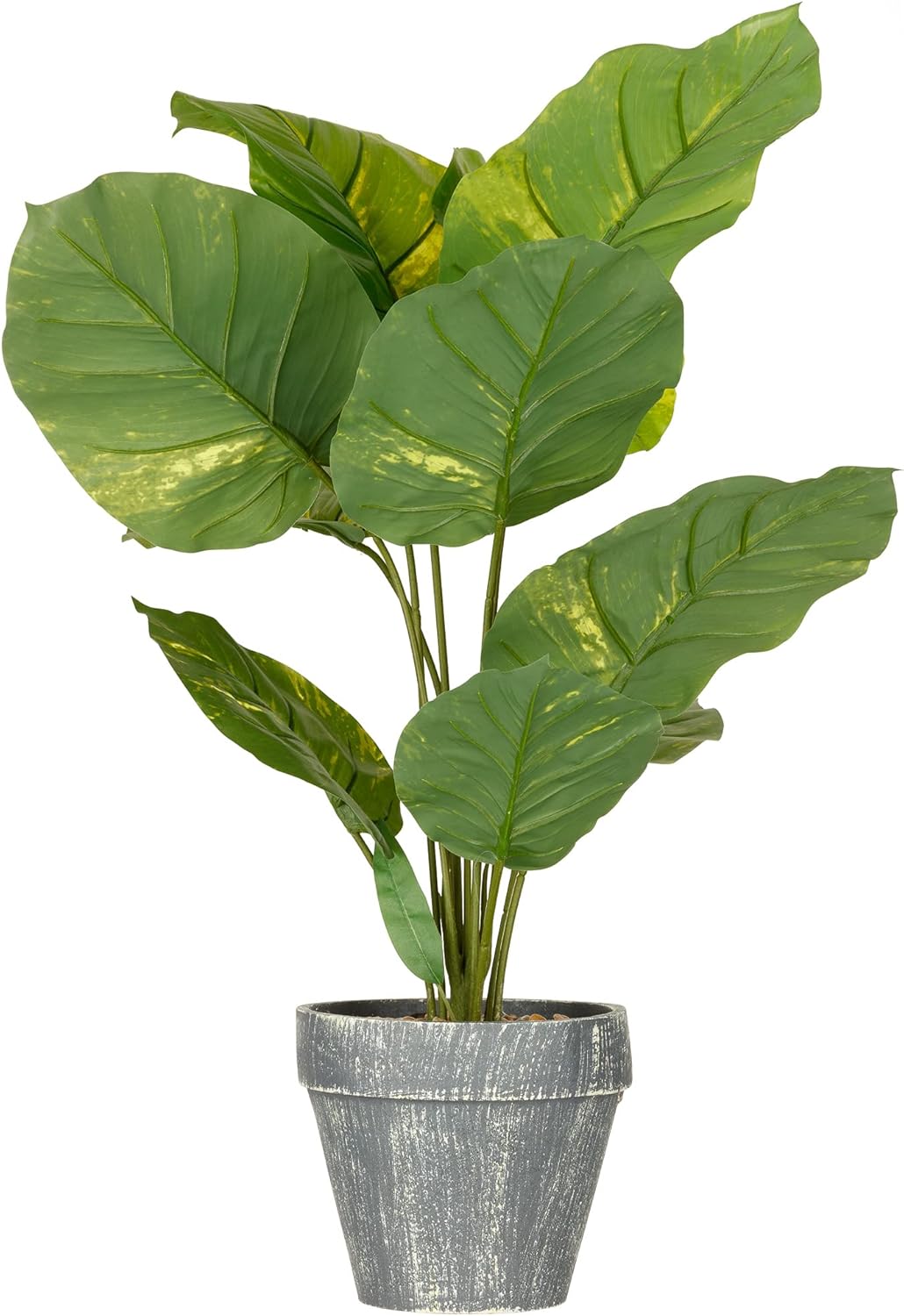 Gallery Solutions 27" Artificial Philodendron Plant in Gray Washed Planter Pot