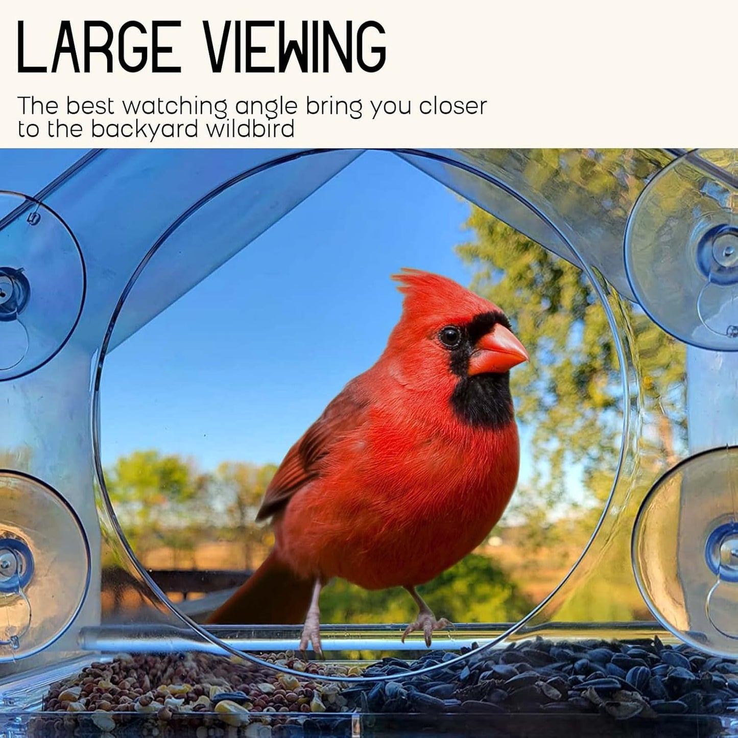 Mrcrafts Window Bird Feeder for Outside with Strong Suction Cups, Fits for Cardinals, Finches, Chickadees etc.