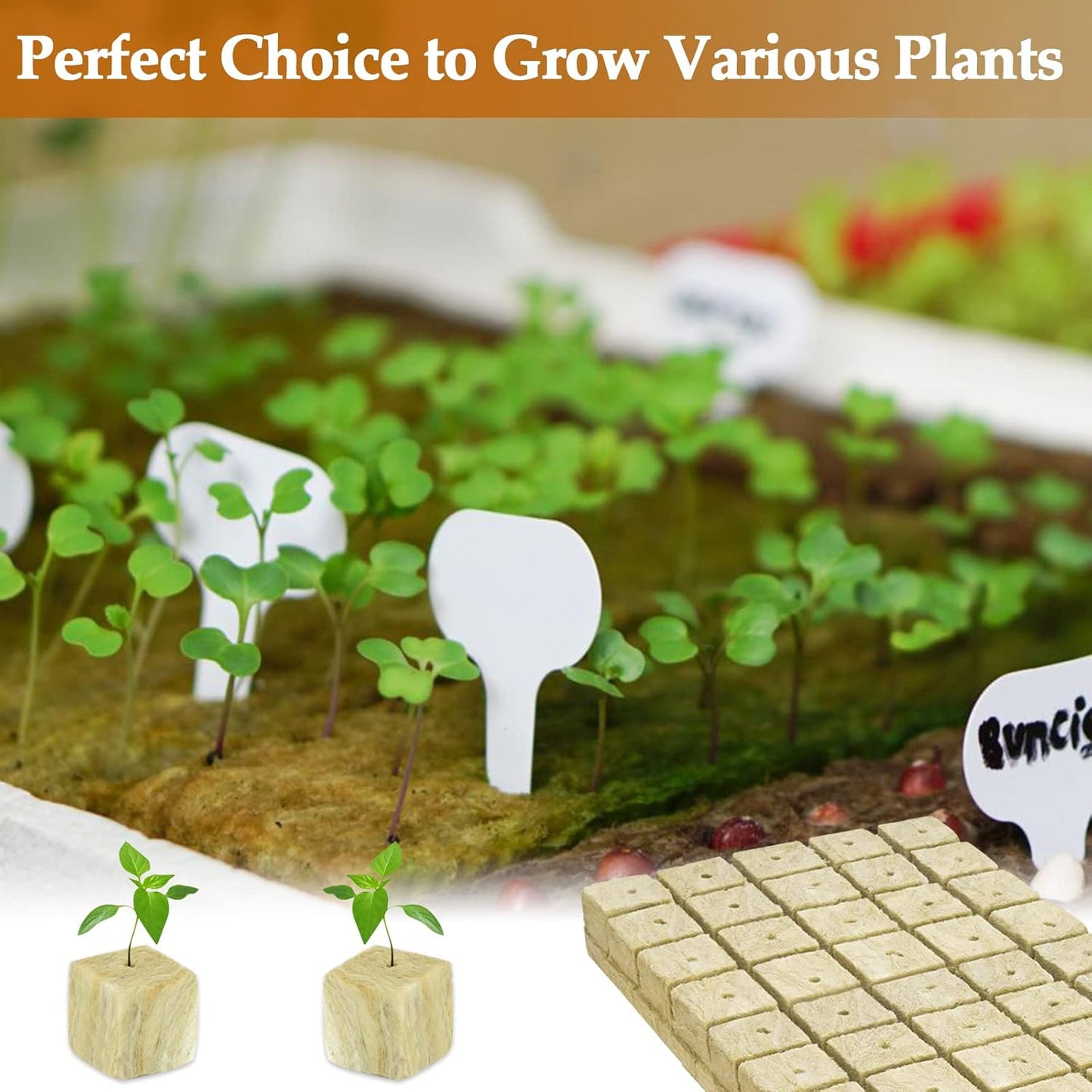Legigo 1 Inch Rockwool Cubes Seed Starter Plugs for Hydroponics, RockW