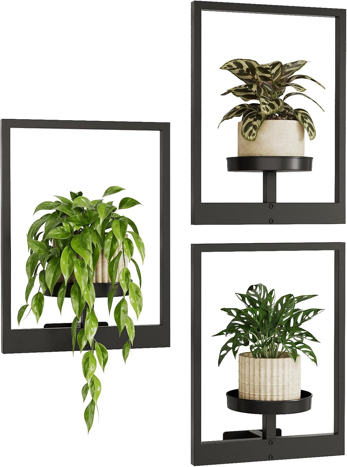 Bamworld Hanging Planters for Indoor Plants Wall Decor Living Room Pla