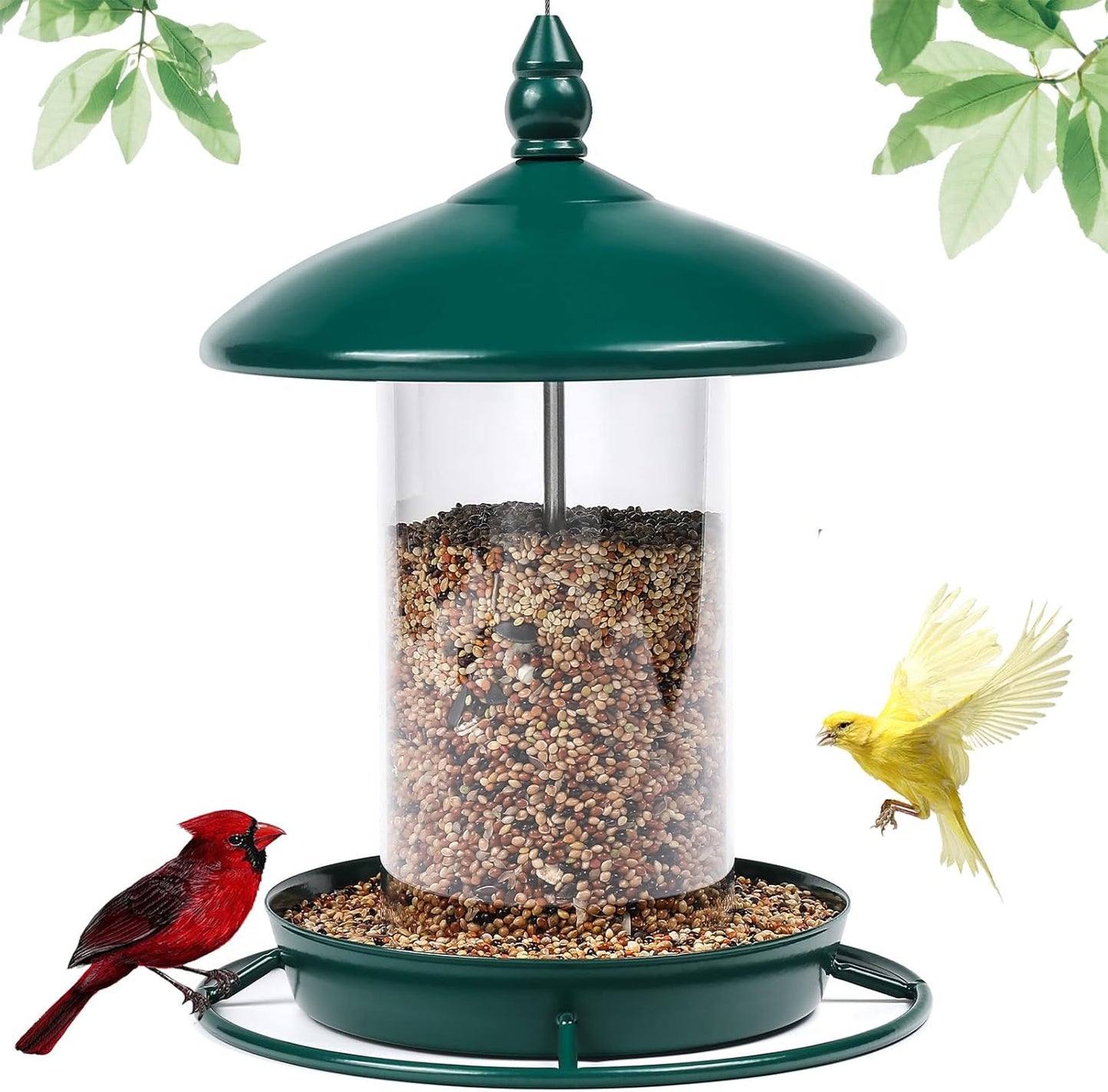 Bird Feeder for Outdoors, Holds 1.50LB Seeds,