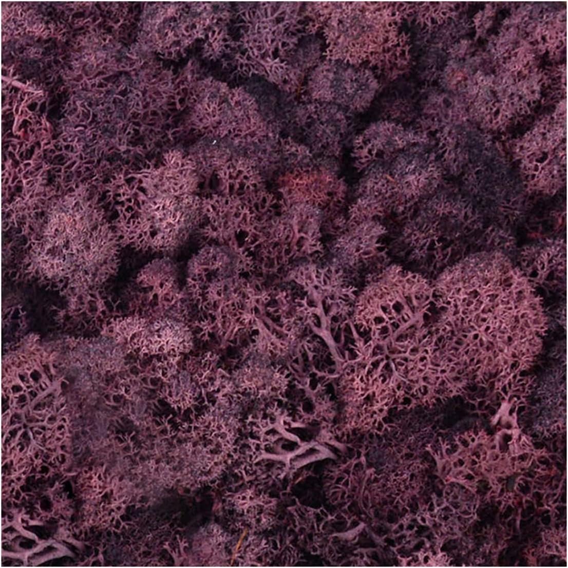 QueenBox® 40g Multi-Color Artificial Moss Fake Green Lichen Plants Imitation Decorative Moss for Home Wall Garden Outdoor, Reddish Brown