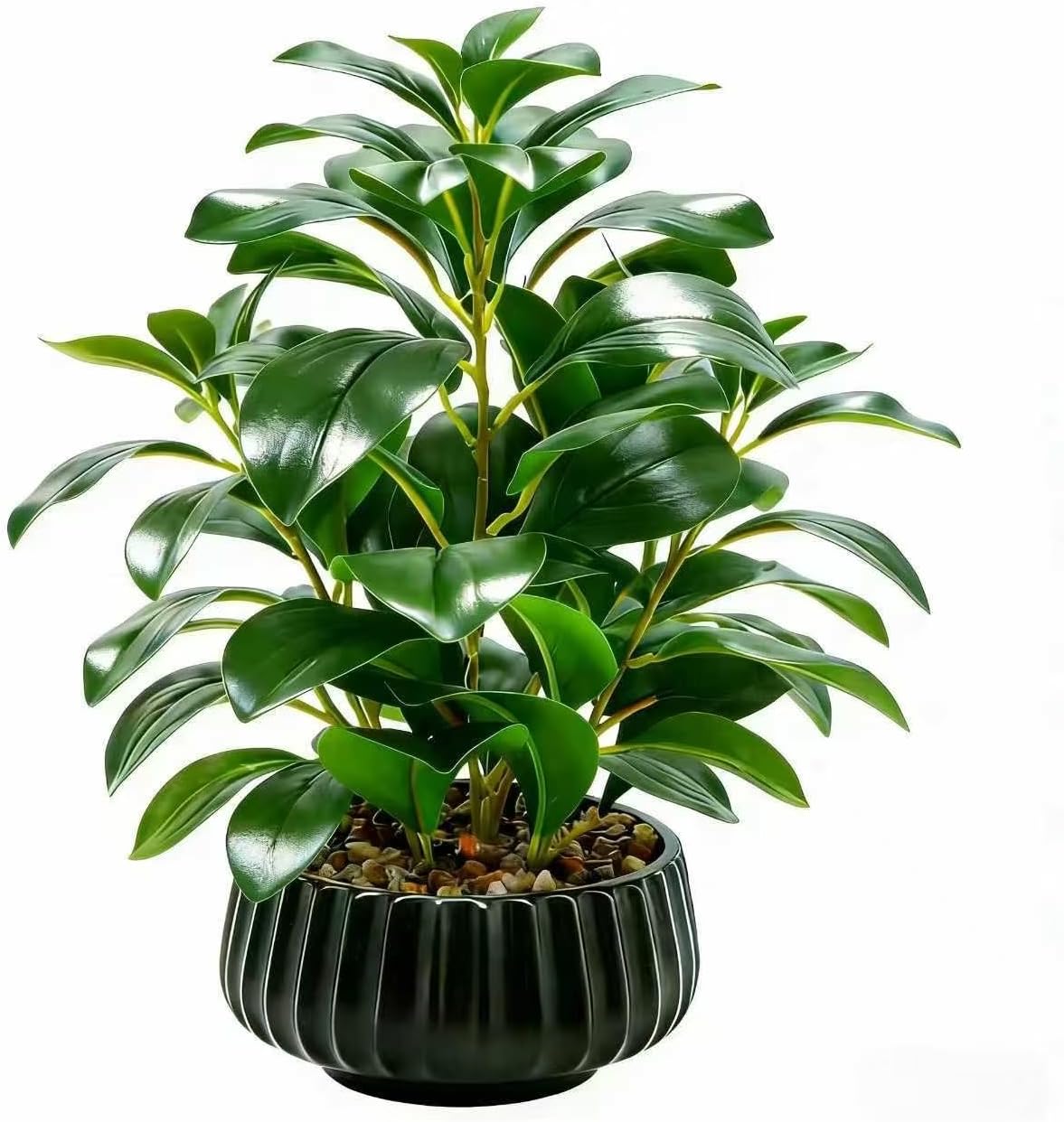 16" Artificial Peperomia Potted Plant in Black Ribbed Ceramic Planter Realistic Faux Green Leaves Tabletop Branches for Indoor Home Office Living Room Shelf Desk Decor