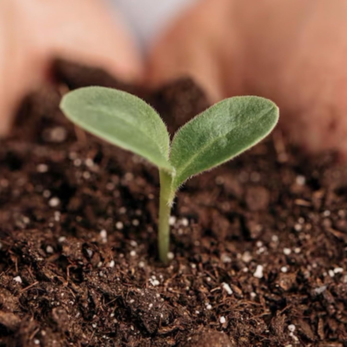 Park Seed Nature’s Aid Garden Soil Inoculant – Enhances Soil Fertility