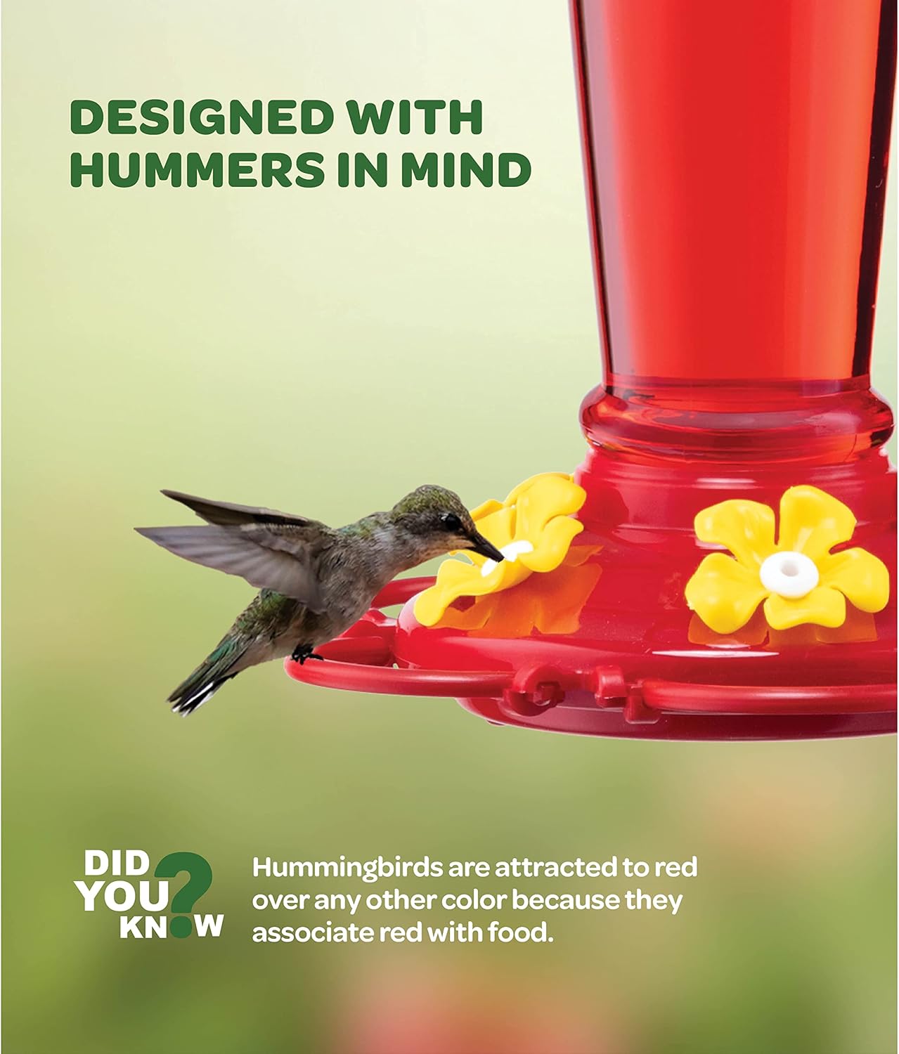 Hummingbird Feeder 10 oz [2 Pack] Glass Hummingbird Feeders for Outdoors, with Built-in Ant Guard - Circular Perch with 5 Feeding Ports - Wide Mouth for Easy Filling/2 Part Base for Easy Cleaning
