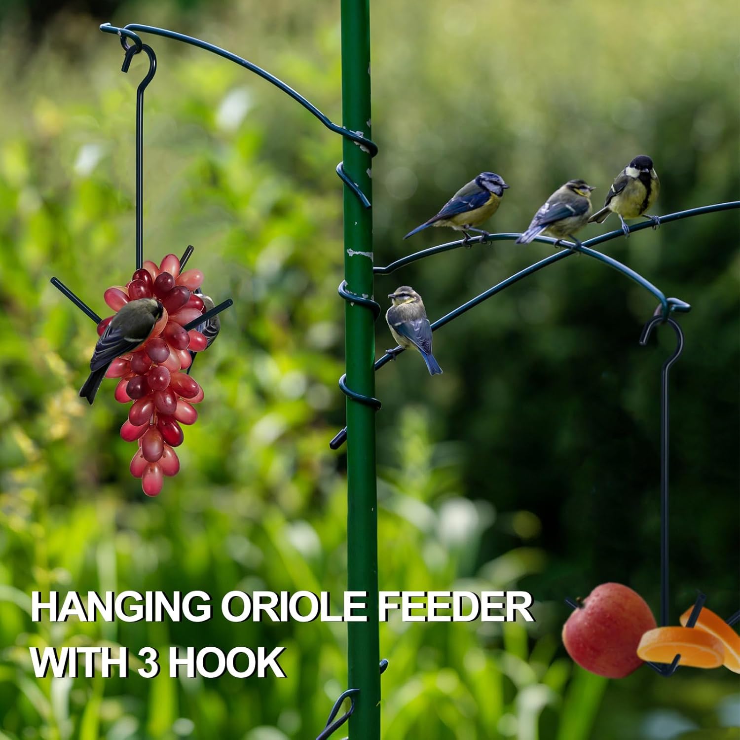 Zonon 2 Pcs Oriole Bird Feeder Hanging Orange Fruit Bird Feeder with H