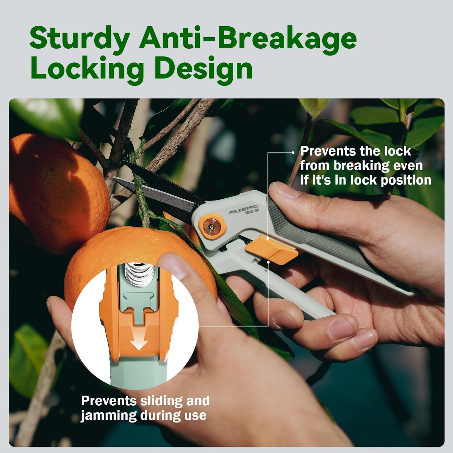 PrunePro Pruning Shears Gardening Scissors Set Professional Hand Prune