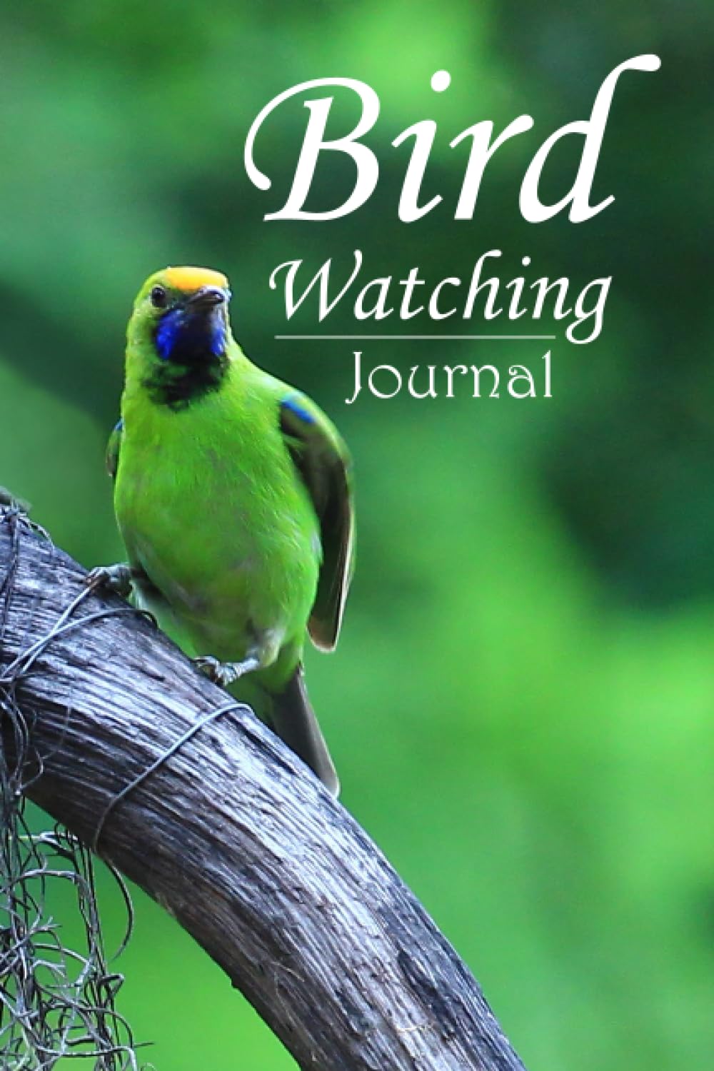 Bird Watching Journal: Bird Watching Log Book, Birding Journal Diary to record Bird Sightings & List Species, Gift for Birdwatchers