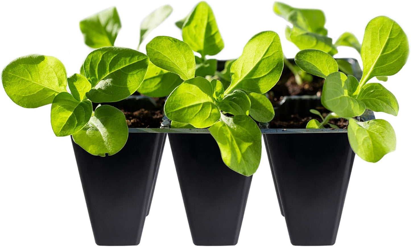 Gardzen 120 Pack 6-Cell Seed Starting Tray for Seedlings, Plant Starte