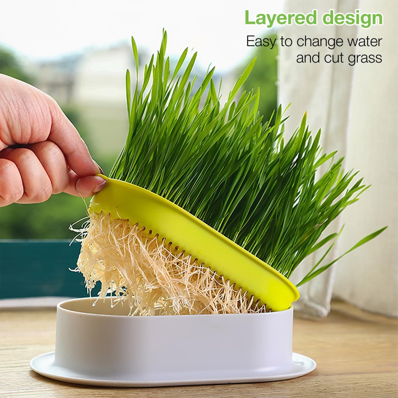 Hydroponic Cat Grass Planter Indoor Soilless Growing Box with Large Water Reservoir Practical Cat Plant Pot for Easy Home Cultivation 7.44X4.84X1.77In