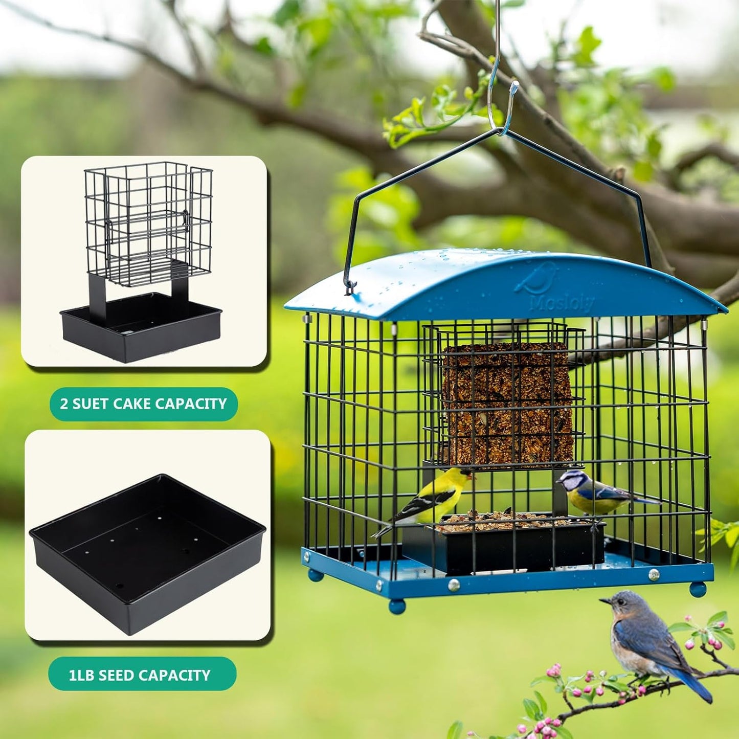 Caged Suet Bird Feeders Squirrel-Proof, Dual-Purpose Suet &Seed Wild Bird Feeders with Tray, Starling-Proof Metal Caged Bird Feeders Outdoors Hanging, 2 Suet Cakes+1lb Seed Capacity, Blue