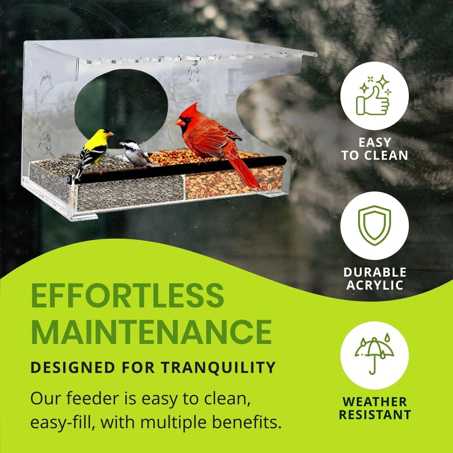 Nature Gear Acrylic Clear Window Bird Feeder with Strong Suction Cups,