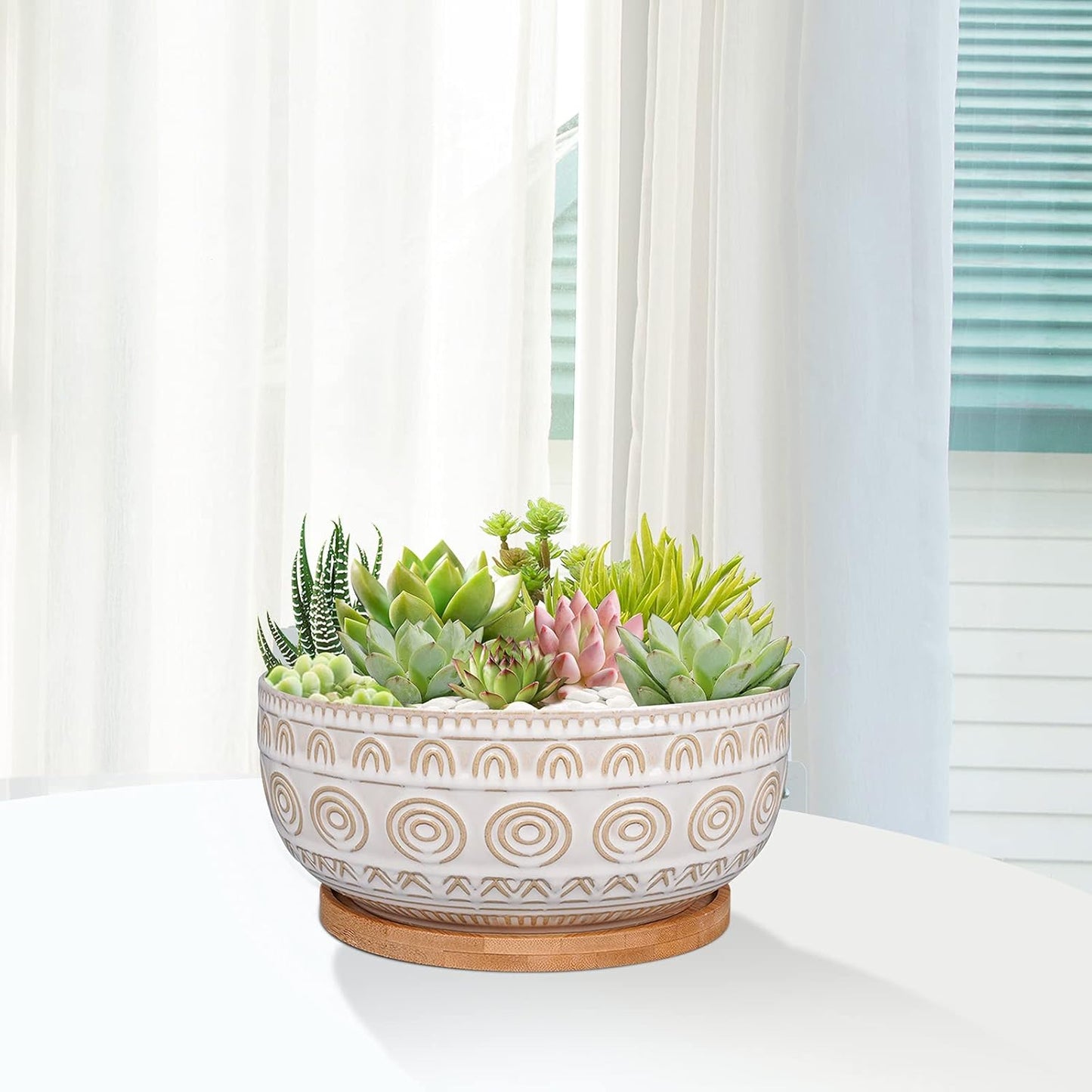 8 Inch Ceramic Succulent Planter Pot with Drainage Hole and Saucer Rou