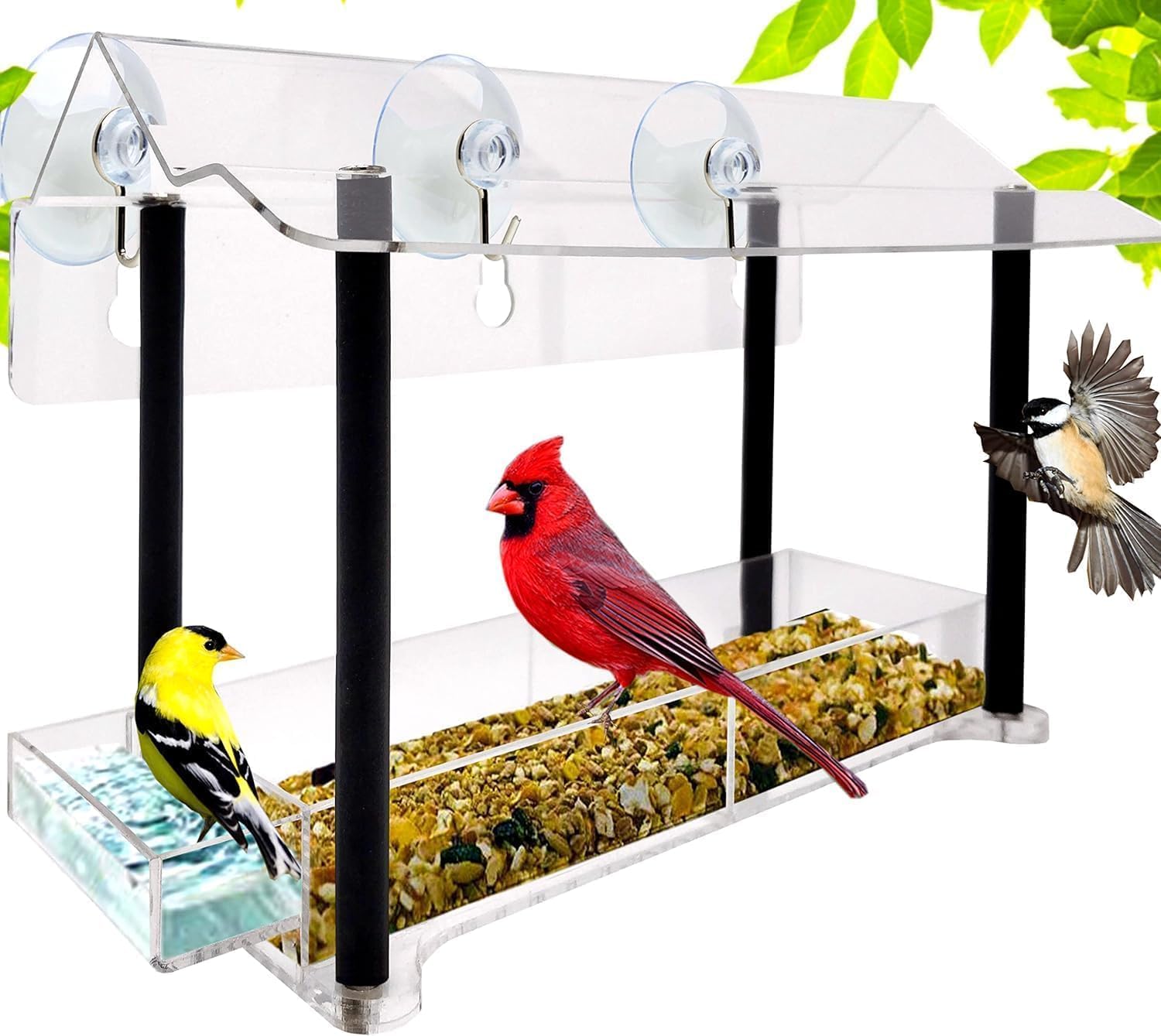 Nature Gear Window Bird Feeder with Strong Suction Cups, Clear Acrylic