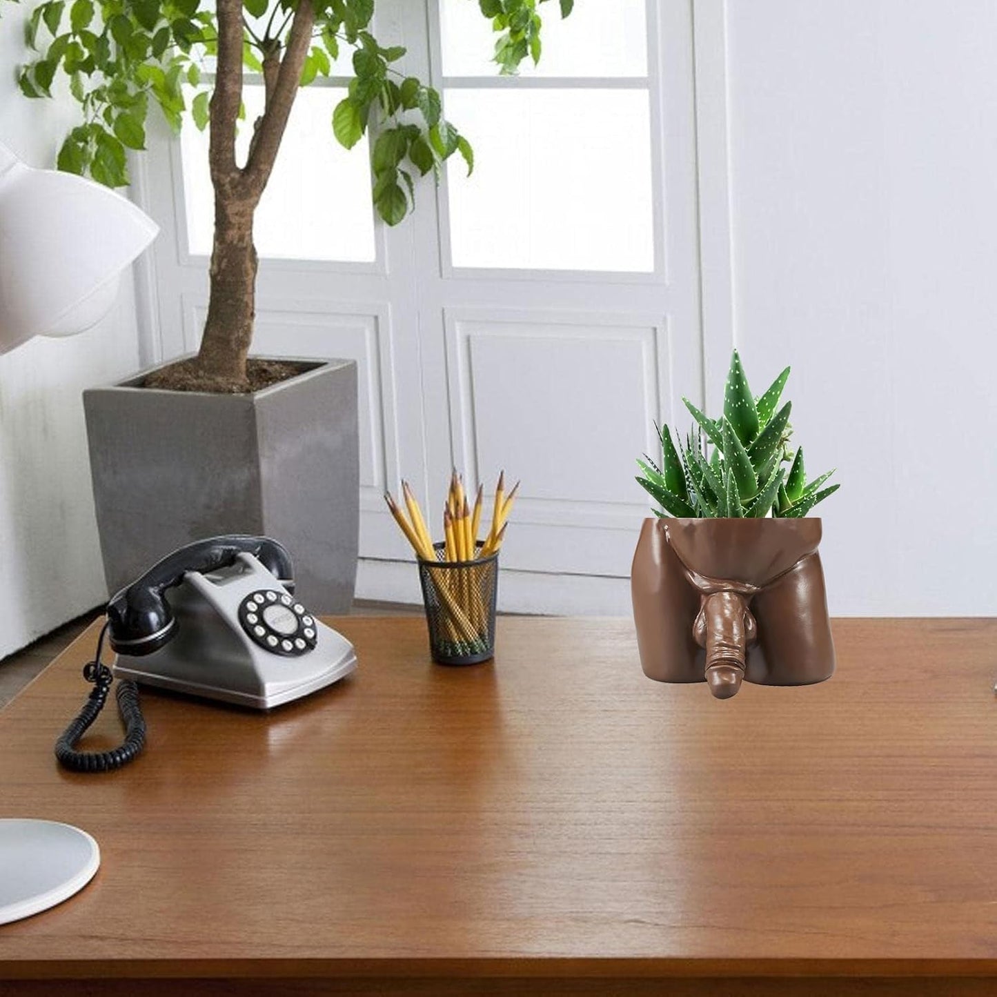 Body Vases for Decor Penis Planter Cool Decor Pot, Male Plant Pots — Body Vase Christmas Valentine's Day Gift Unique Planter (Brown, L)