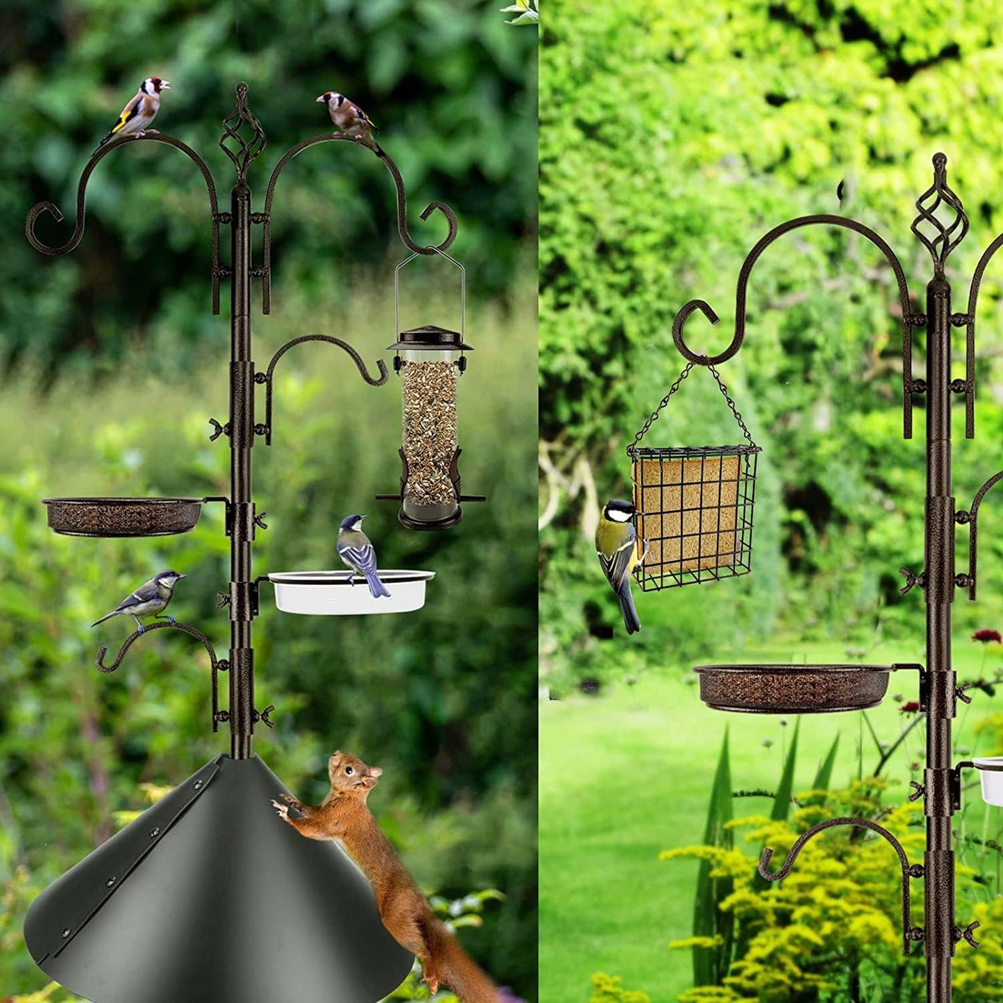 Bird Feeding Station Kit with Squirrel Baffle and Suet Cage Wild Bird 