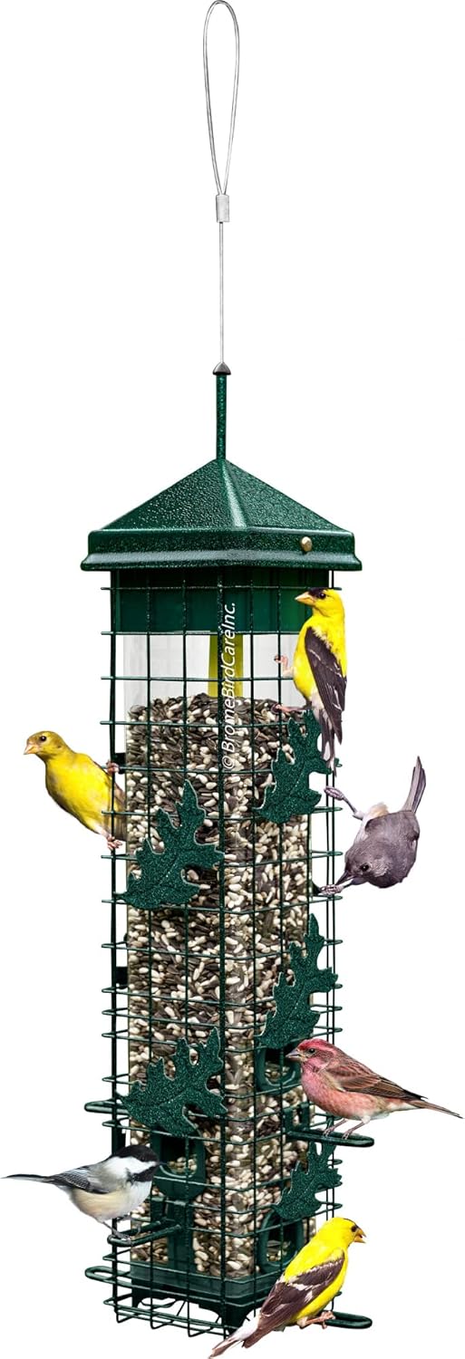 Squirrel Solution200 Squirrel-Proof Bird Feeder w/6 Feeding Ports, 3.4