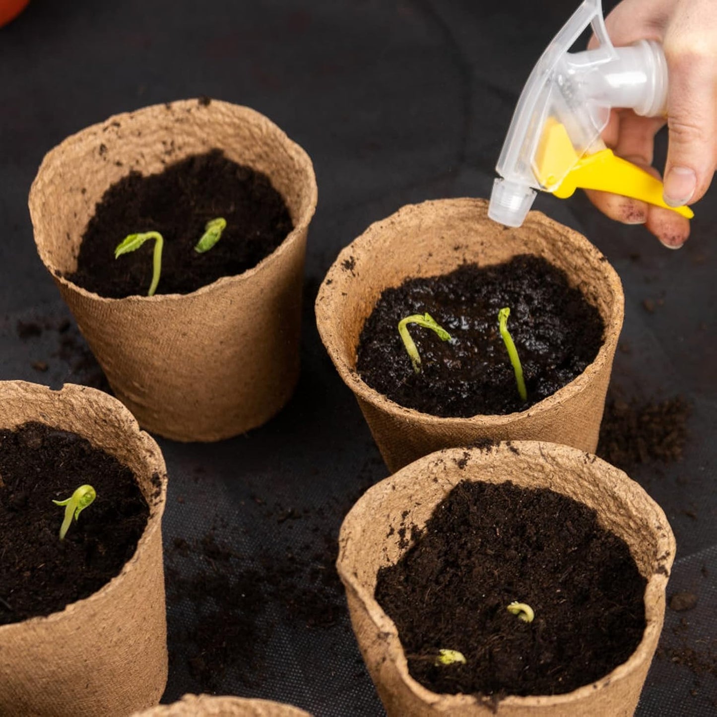 40Pcs 3.15 Inch Peat Pots, Biodegradable Eco-Friendly Round Plant Seed
