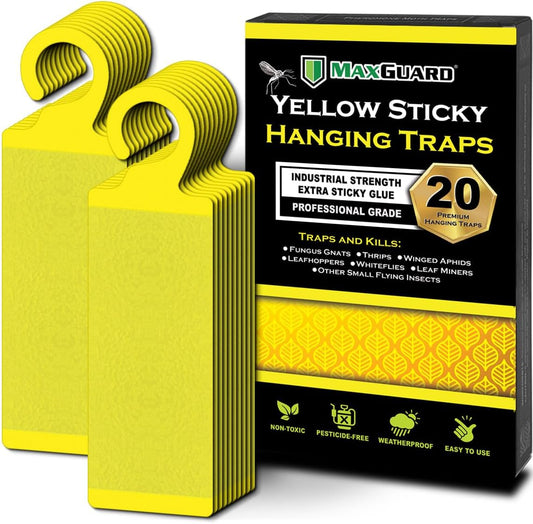 MaxGuard (20 Pack) Yellow Sticky Hanging Traps - Catch and Kill Fungus