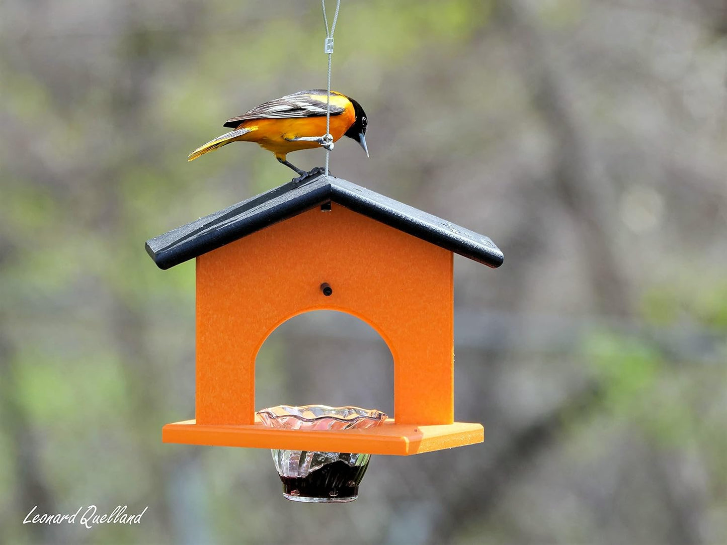 AmishToyBox.com Oriole Bird Feeder, Poly-Lumber Hanging Oriole Jelly Feeder (Orange)