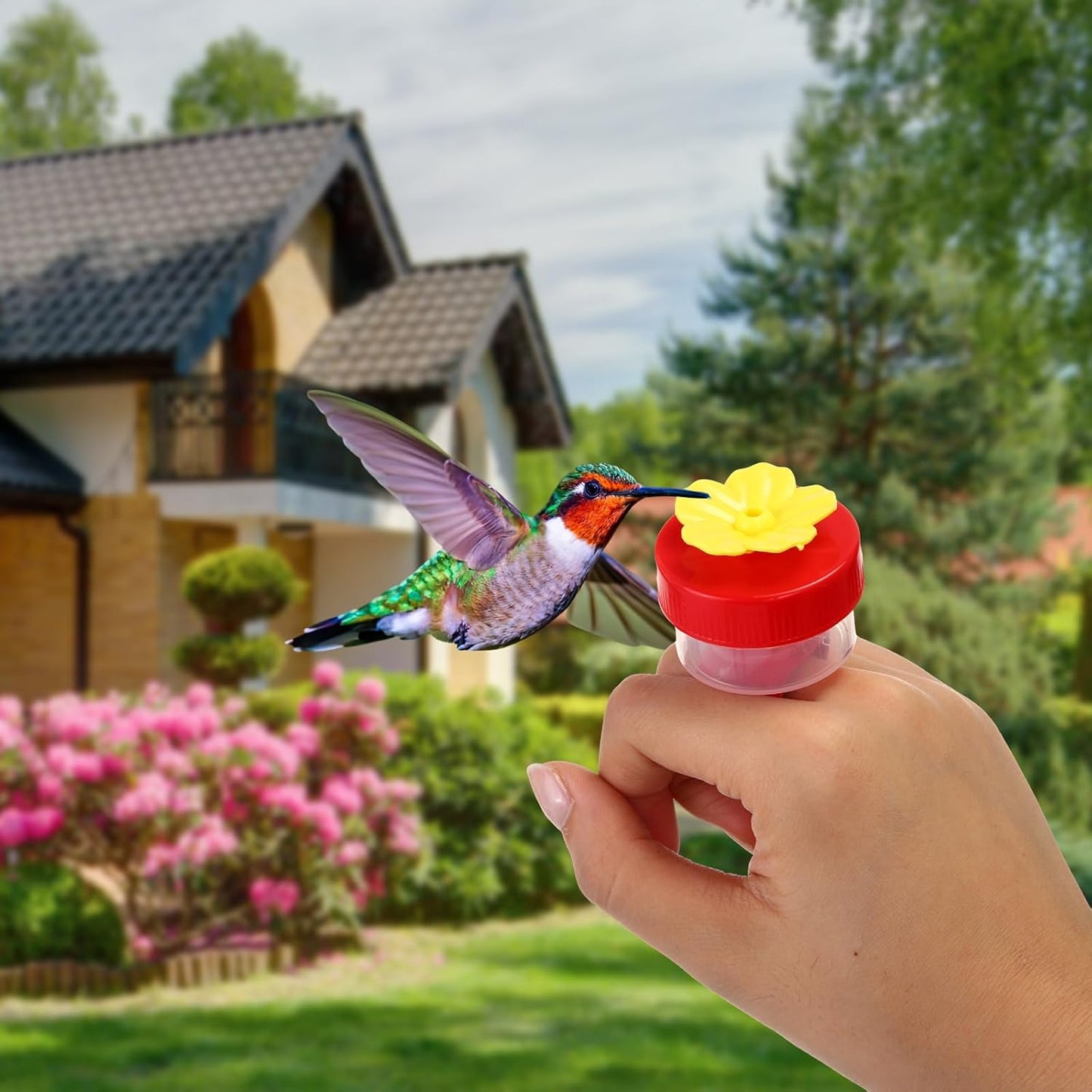 Tioncy Hand Held Hummingbird Ring Feeders, 8 Pcs Mini Hummingbird Hand Feeder with 8pcs Cleaning Brush, Wild Bird Feeders Tools for Outdoors Supplies